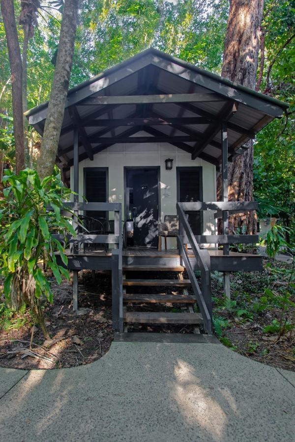 Cape Trib Beach House Cape Tribulation Exterior foto