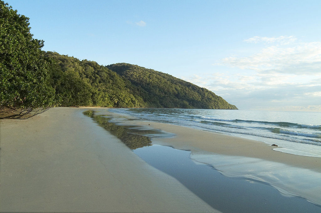 Cape Trib Beach House Cape Tribulation Exterior foto
