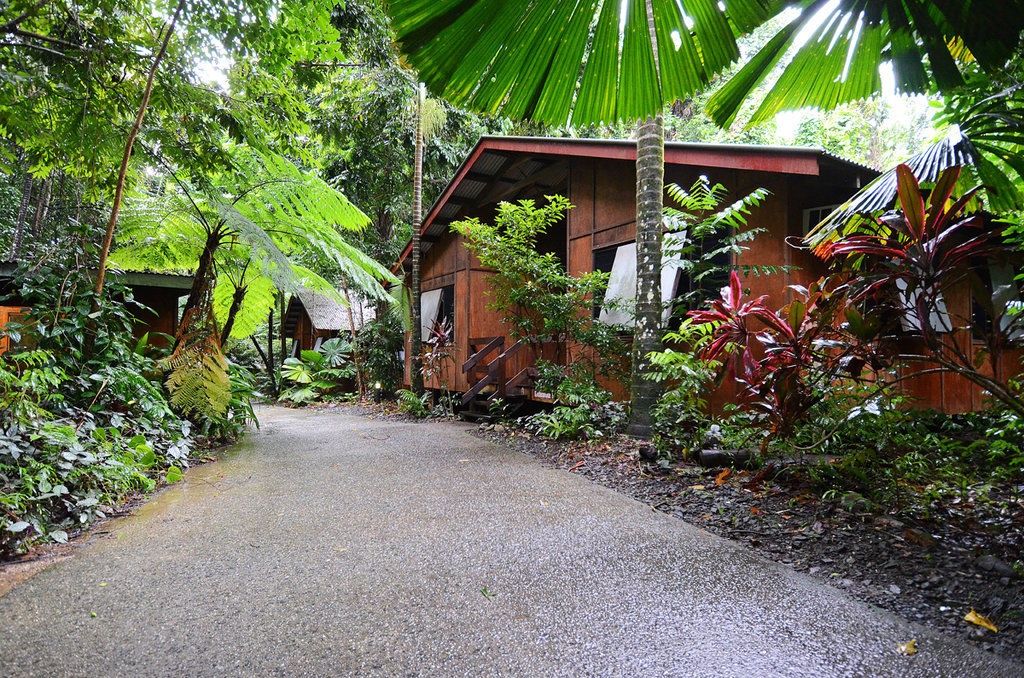 Cape Trib Beach House Cape Tribulation Exterior foto