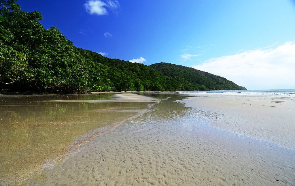 Cape Trib Beach House Cape Tribulation Exterior foto